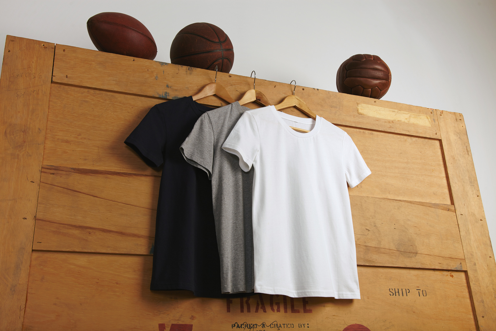 Blank t-shirts presentation